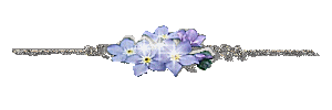 1097029greh040xdr.gif
