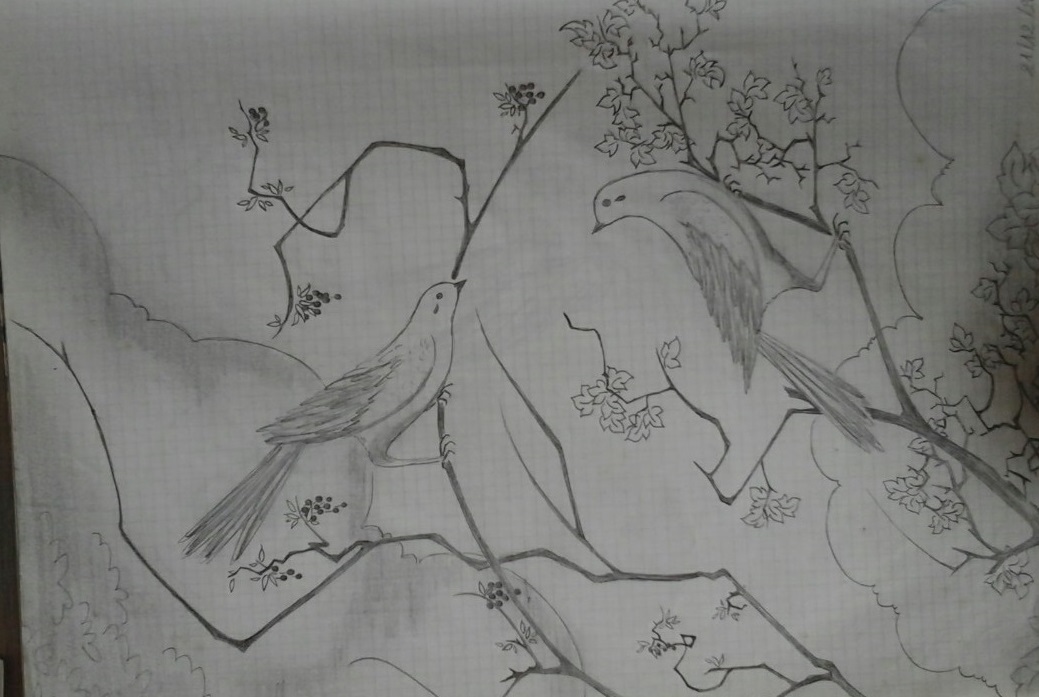 29668d9d639480cad985.jpg