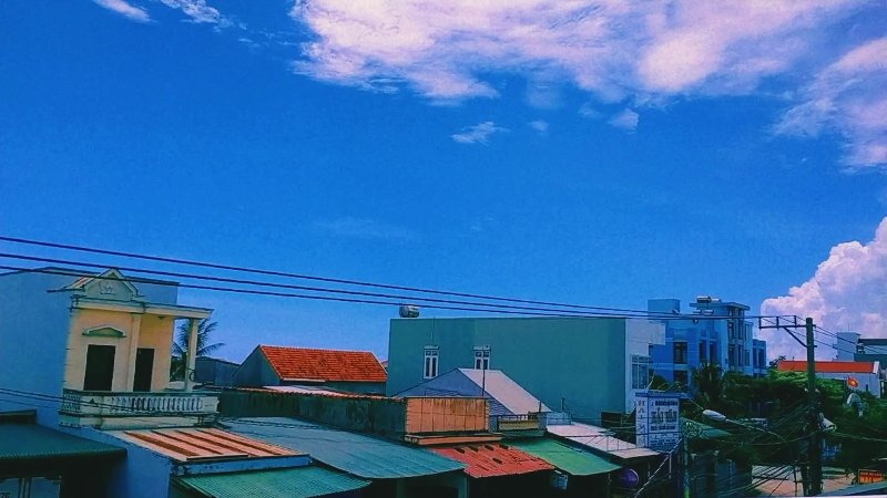 5d5659d2fa31306f6920.jpg