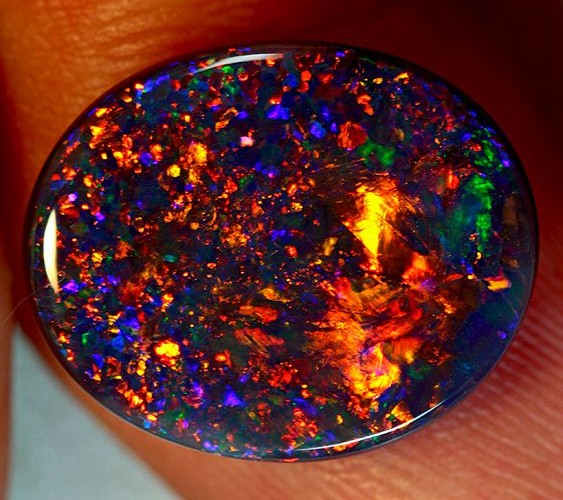 8-black-opal.jpg