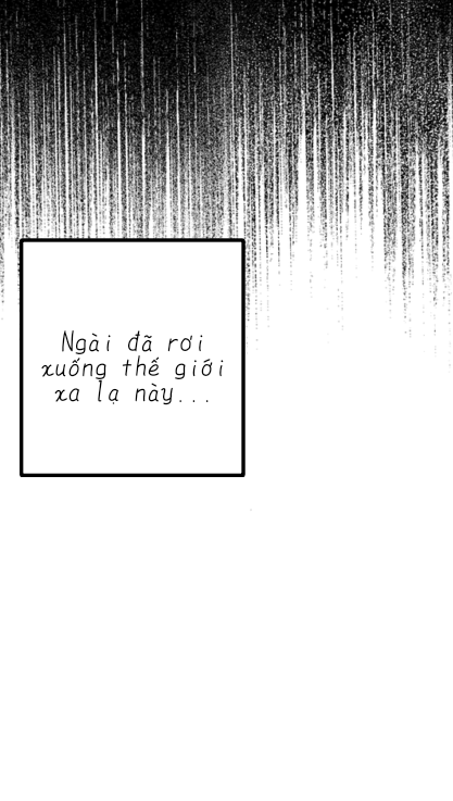 a69c06765fcc8d92d4dd8.png