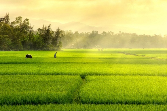 binh-yen-trong-toi.jpg
