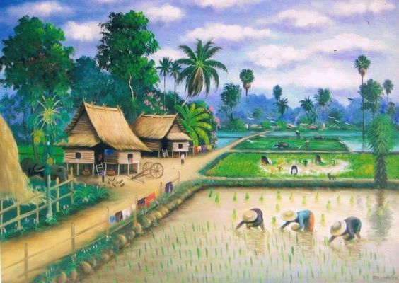 Cay ma.jpg
