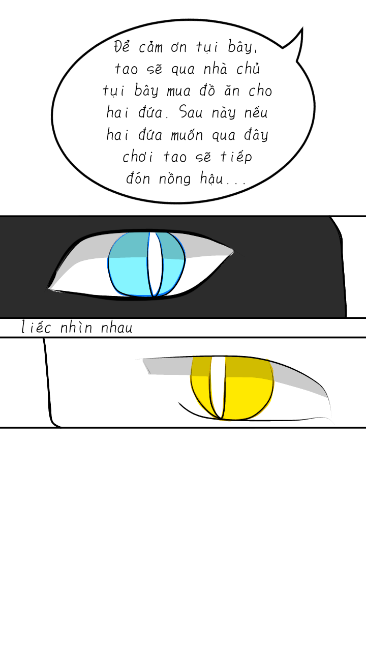 Không Có Tiêu Đề800_20230521211425.png