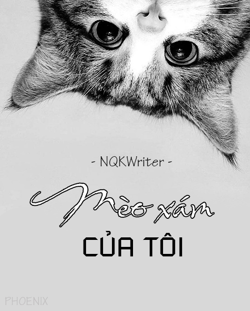 Meo xam cua toi.jpg
