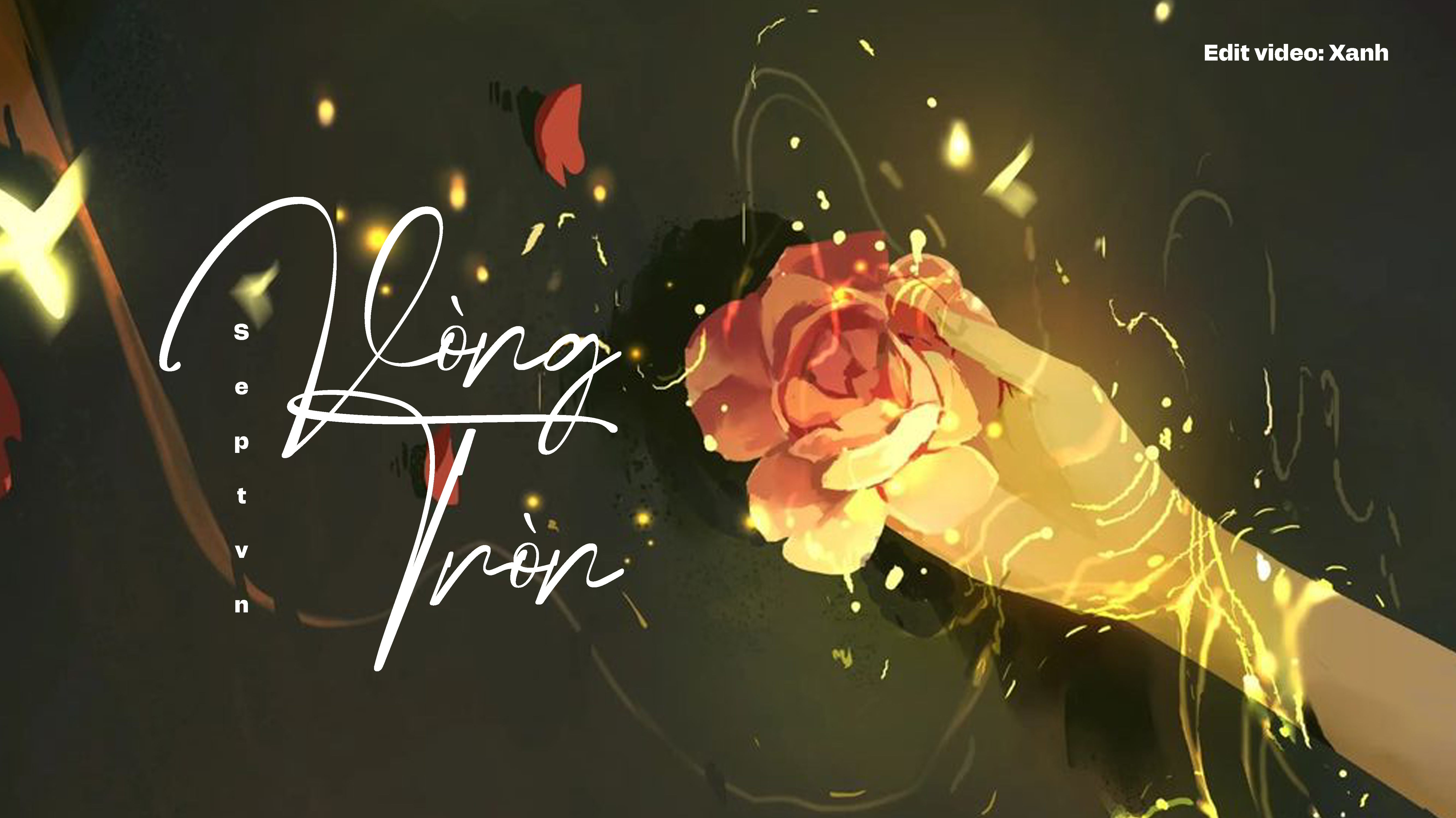 vòng tròn copy.jpg