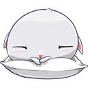 205 :205: :205: